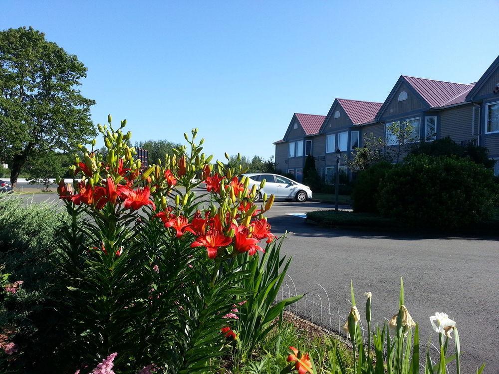 Granite Town Hotel Saint George Eksteriør bilde